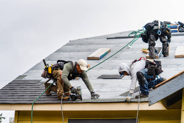 Professional Gutter Installation technician working in Lehr, ND